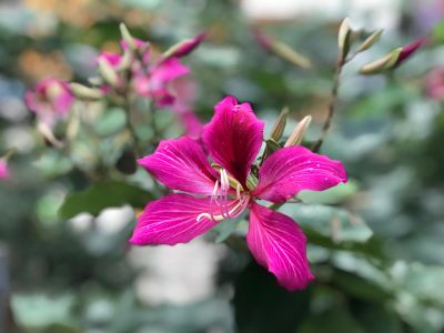 兩頭俱截斷，一劍倚天寒