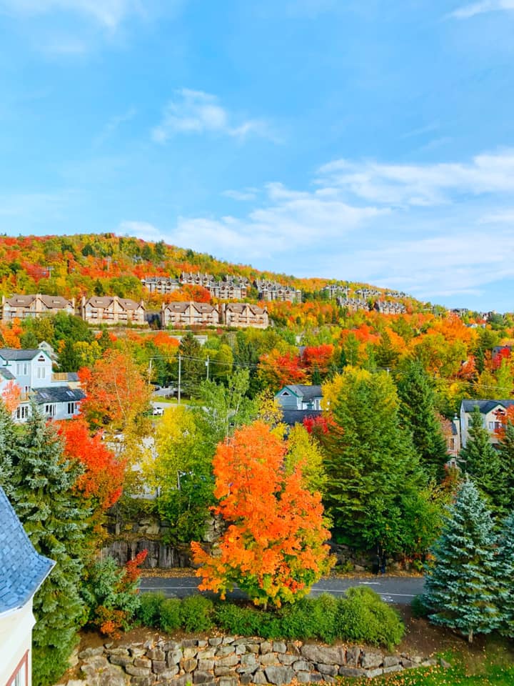 心生菩提樹 與其祈求奇跡，不如創造奇跡