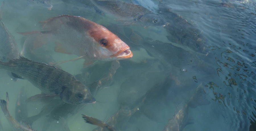 公主應該學會以禪美容