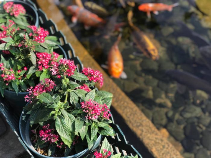 甩甩手告訴自己，決不打折