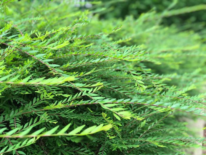 委婉的螺釘，順耳的忠言