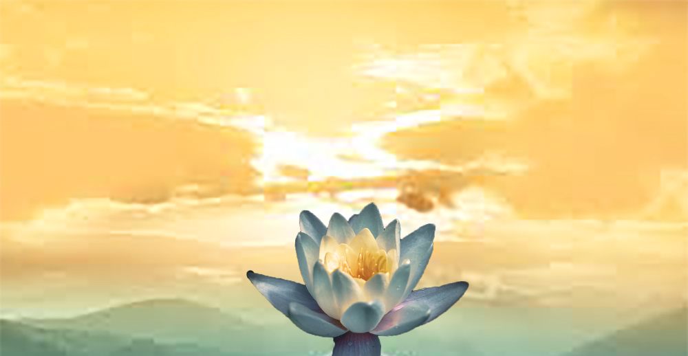 找到適合自己的人生軌跡