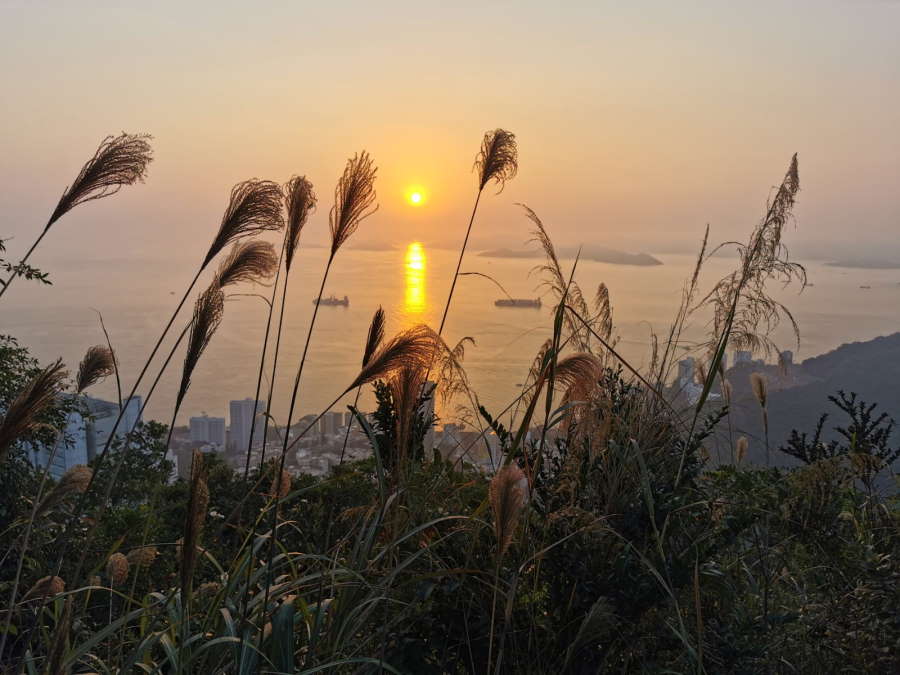 禪的認知與修學 - 四、禪是什麼