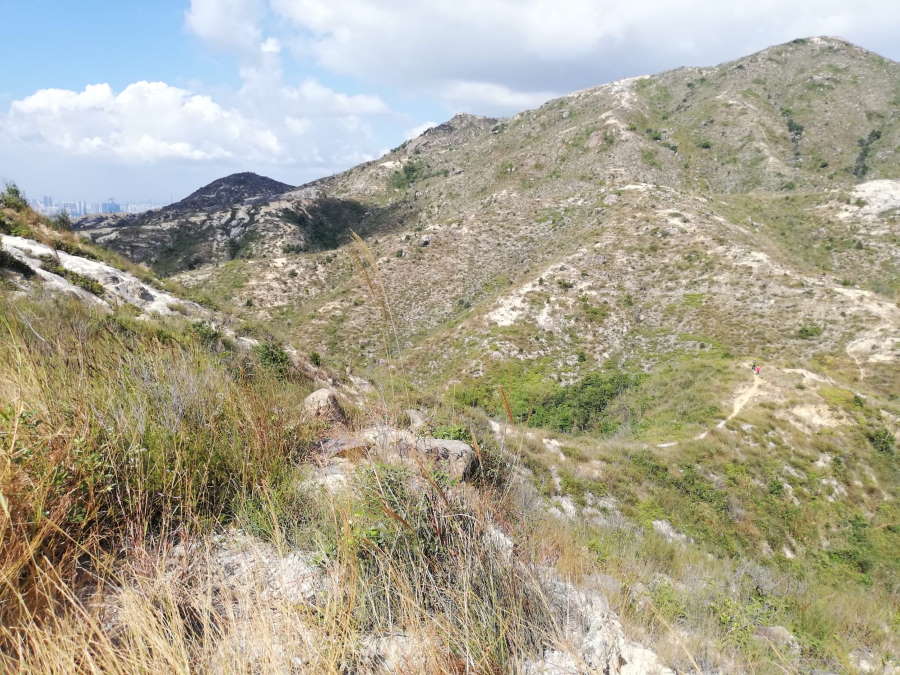 惟覺老和尚佛法禪法問答 - 單靠臨終十念，真的可以往生淨土嗎