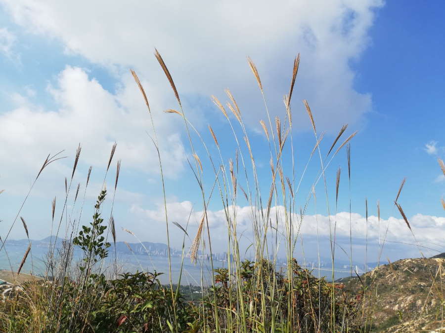 本煥老法師開示 - 禪七第三天 