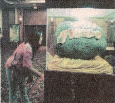 「神秘石中雾」由洞口望入，祥雾缭绕，深不可测。