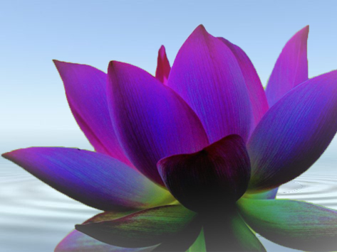 百日禪選輯 誰是觀自在菩薩